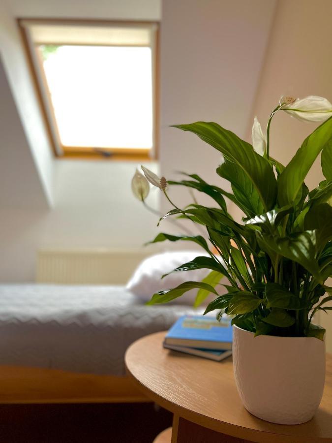 Hotel Marislav Cesnovice Exteriör bild