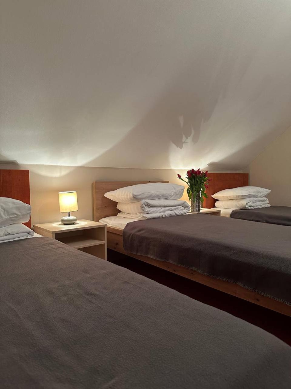 Hotel Marislav Cesnovice Exteriör bild